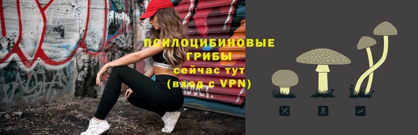 прущие крисы Абаза