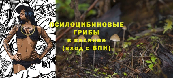 прущие крисы Абаза