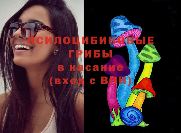 прущие крисы Абаза