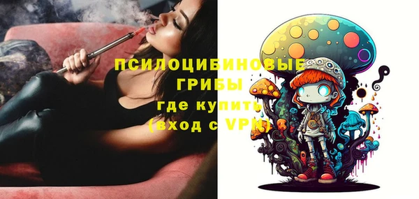 прущие крисы Абаза